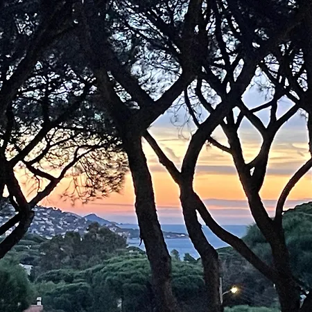 Apartment Tres Beau Duplex, 2 Chambres, Parking Prive, A 5 Minutes Sainte-Maxime