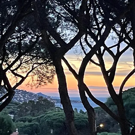 Апартаменты Tres Beau Duplex, 2 Chambres, Parking Prive, A 5 Minutes Сент-Максим